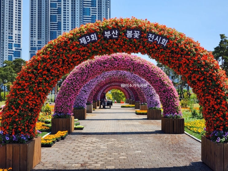  2023 제3회 봄꽃 전시회 부산 시민공원 아이와 5월 가볼만한곳