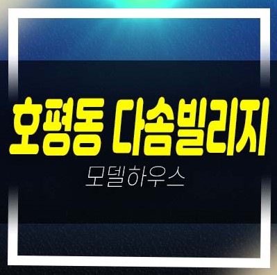  남양주 호평동 다솜빌리지 신축빌라 28평형 3룸 전세자금대출 및 생애최초 무주택자 즉시입주 분양/매매