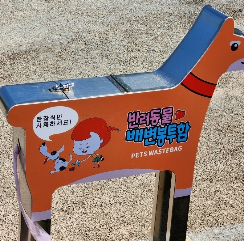 쏭카페 사진 3