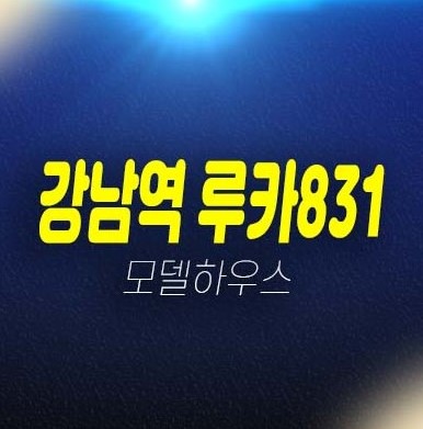 강남역 루카831 역삼동 고급 오피스텔 회사보유분 잔여세대 평형타입 투자자,실거주 신축공사 분양가 주담대 모델하우스 현장소식!