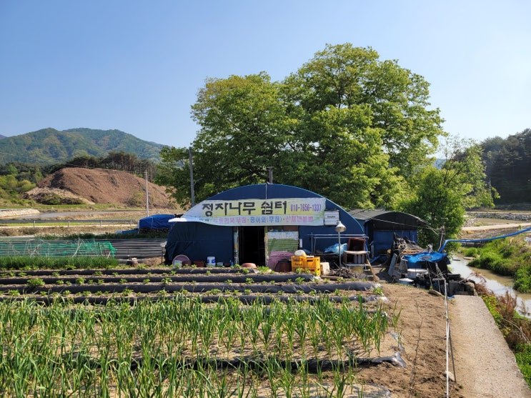  200년된 느티나무 아래 있는 정자나무 쉼터 (지리산 둘레길 회덕마을)