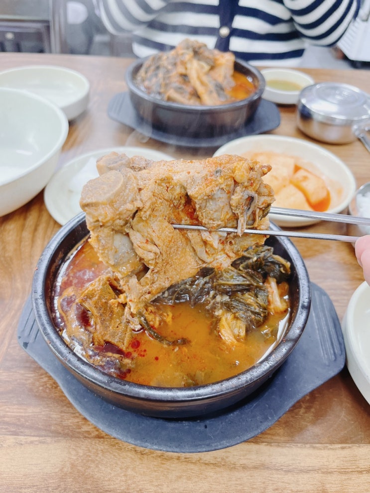  [대전/둔산동맛집] 일당감자탕