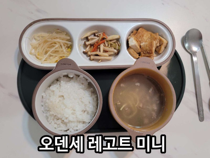 [오덴세] 오덴세 레고트 미니로 아이식기 교체