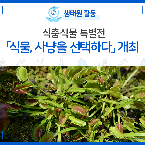 [NIE 소식] 국립생태원, 식충식물 특별전 「식물, 사냥을 선택하다」 개최