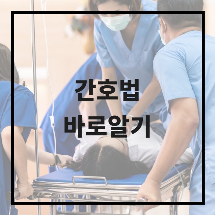 간호법 제대로 알자! 간호법 제대로 알자!