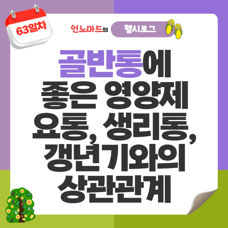  63일차, 골반통에 도움되는 영양제와 허리통증, 생리통, 갱년기와의 상관관계