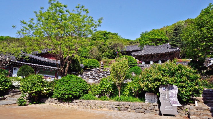  서운산 석남사 코스...오랜만에 가보는 봄날의 석남사와 석남사 계곡, 마애불, 서운산 휴양림.