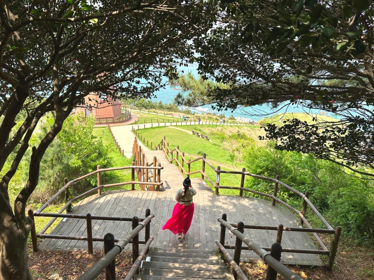  거제 바람의 언덕 야경 보신 분? 야간 주간 모두 방문한 후기