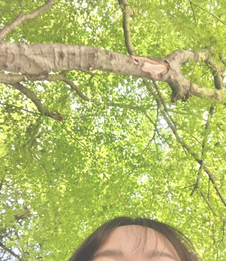   세상의 모서리에서 | 비건 지향•미니멀리즘•아이돌 덕질