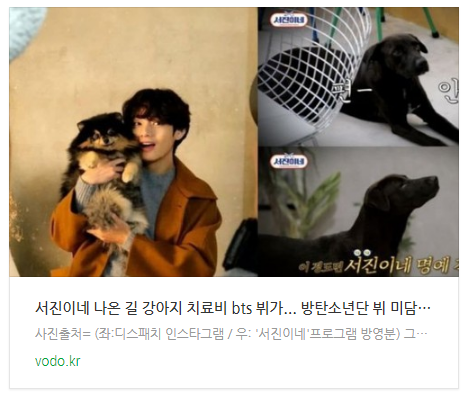 "서진이네 나온 길 강아지 치료비 bts 뷔가..." 방탄소년단 뷔 미담 알고 봤더니 사실아냐 "서진이네 나온 길 강아지 치료비 bts 뷔가..." 방탄소년단 뷔 미담 알고 봤더니 사실아냐