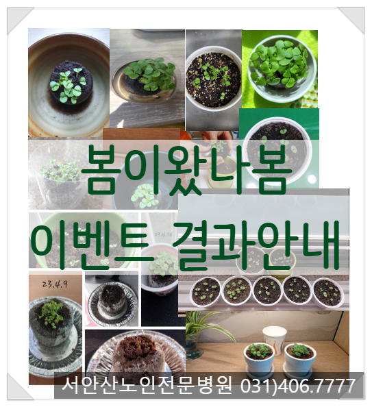  봄이왔나봄 이벤트 당첨자결과