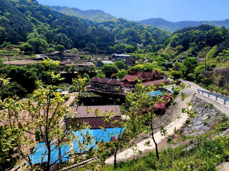  함양펜션 지리산 벽소령계곡 브라우니펜션