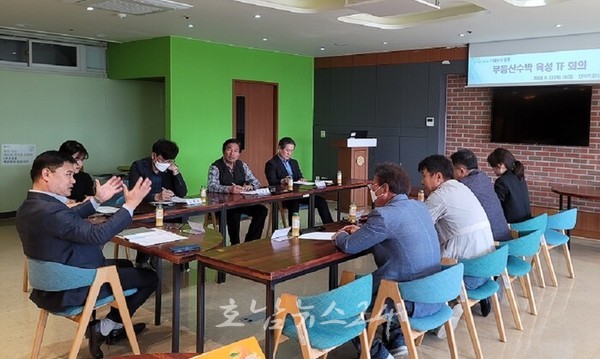  광주광역시, 대표 특산품 ‘무등산수박’ 명성 되찾는다