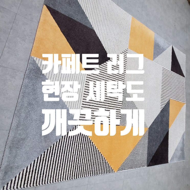 [구래동/마산동] 김포 카펫 러그 현장 세탁