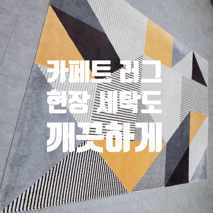  [구래동/마산동] 김포 카펫 러그 현장 세탁