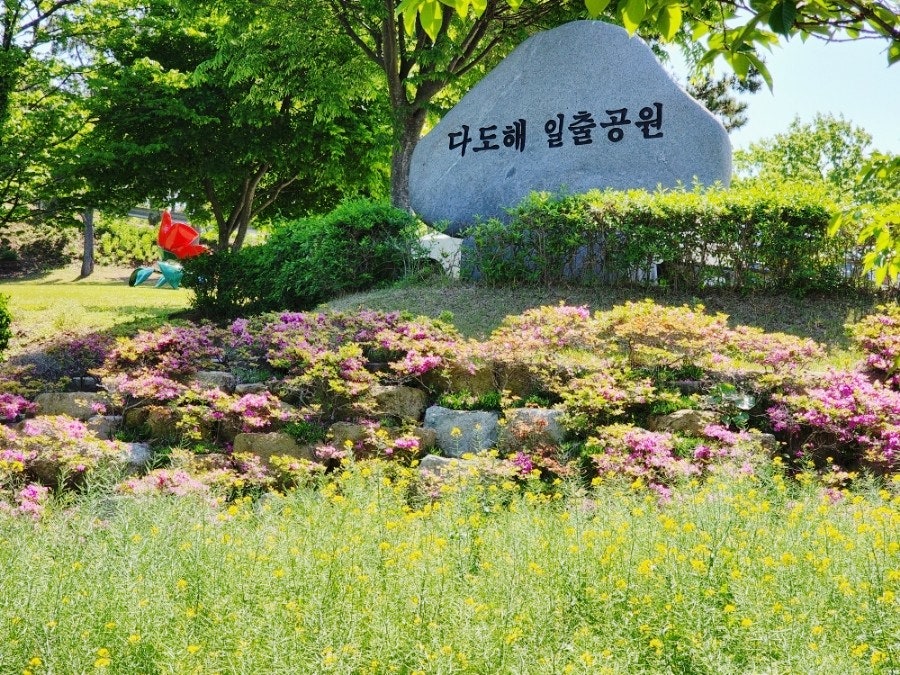 쏭카페 사진 1
