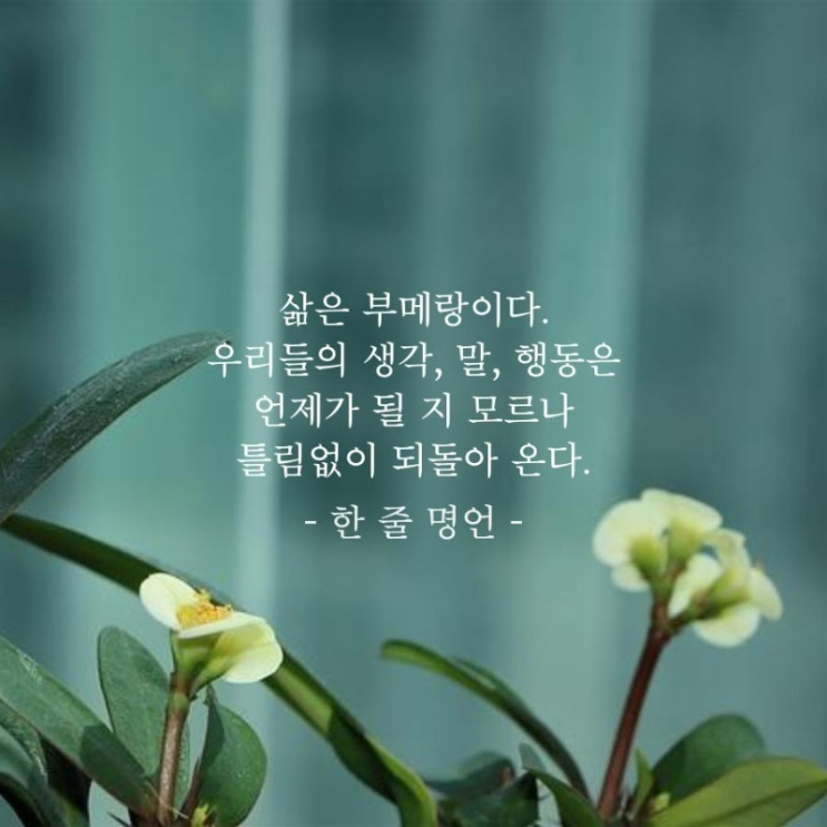  삶은 부메랑이다