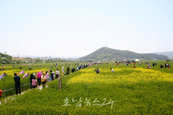  영광군, 5월 12일부터 제9회 영광찰보리문화축제 개최
