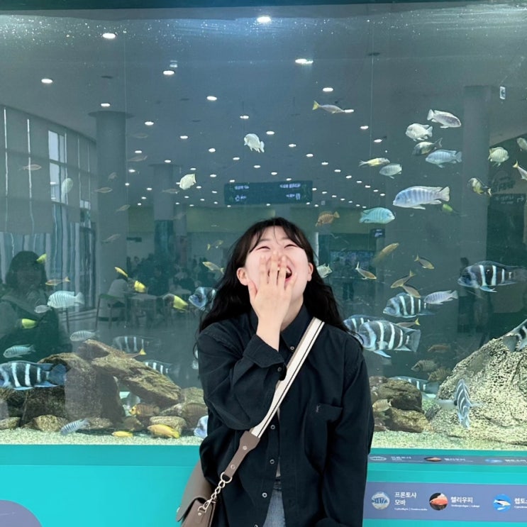  [서천여행]서천, 군산  가볼만한 곳, 가족여행코스는 '국립생태원'어때?