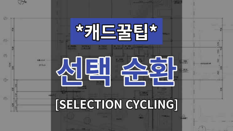  [대체캐드1위 ZWCAD 꿀팁] 겹친 선 중 원하는 선 선택하기! 선택 순환 (SELECTION CYCLING)