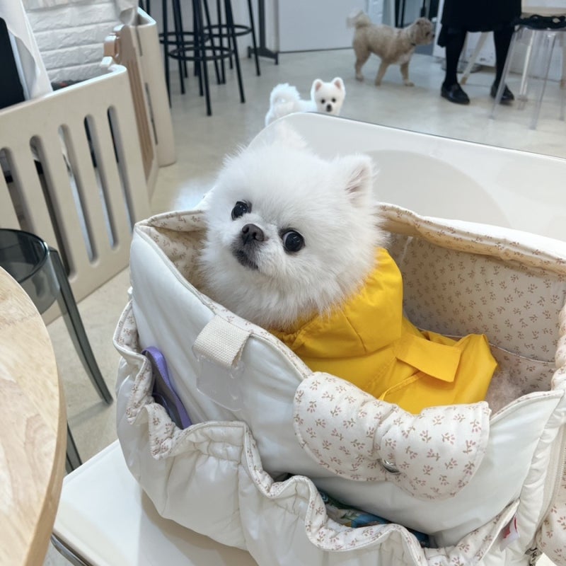 주루루