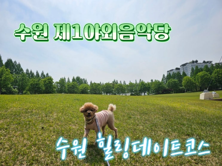  [수원 피크닉명소] 수원 힐링데이트 코스, 수원 제1야외음악당 (주차정보 꿀팁)