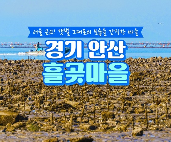 { 경기도 데이트 코스}  안산 흘곳마을 추천!