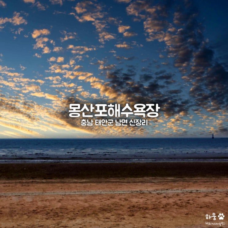  충남 태안 몽산포해수욕장 애견동반 오토캠핑장숙소