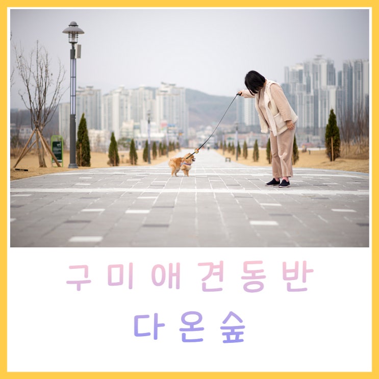  구미가볼만한곳  다온숲 반려견동반 새로운 공원이 생겼어요
