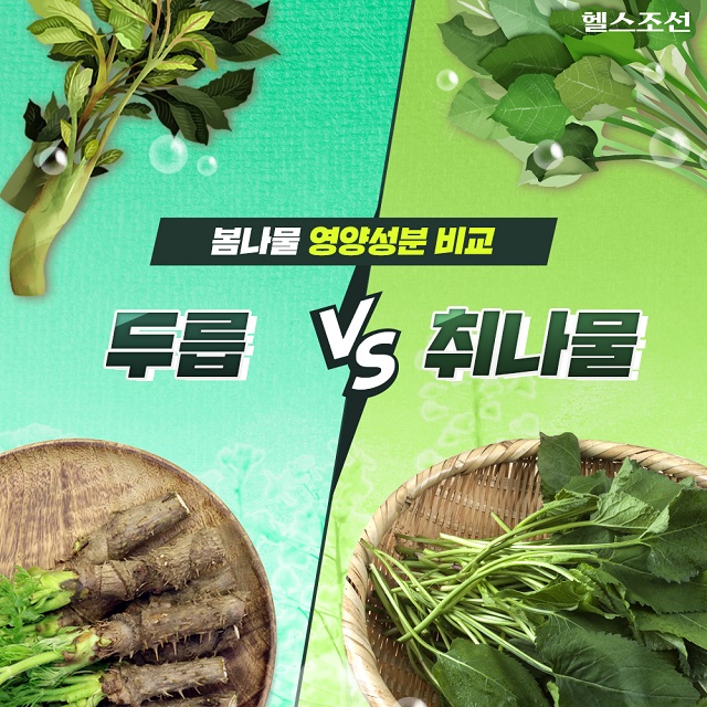 춘곤증 극복! 5월 <b>제철음식</b>, 두릅과 취나물의 효능
