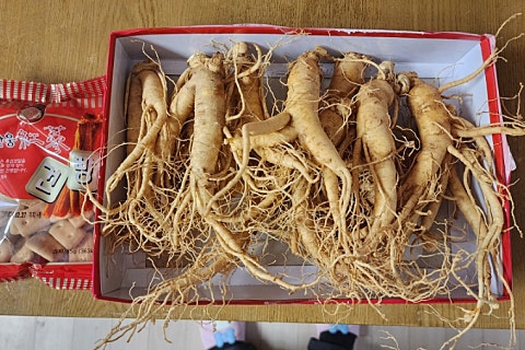 강화수삼센타 이미지