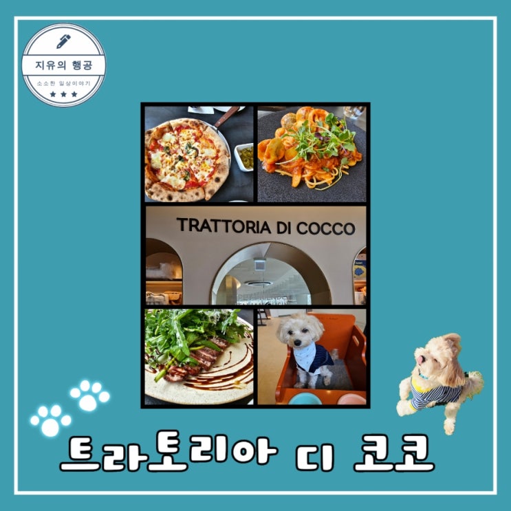  애견 동반 식당 <트라토리아 디 코코> 의왕 롯데 아울렛 코코스퀘어 내돈내산