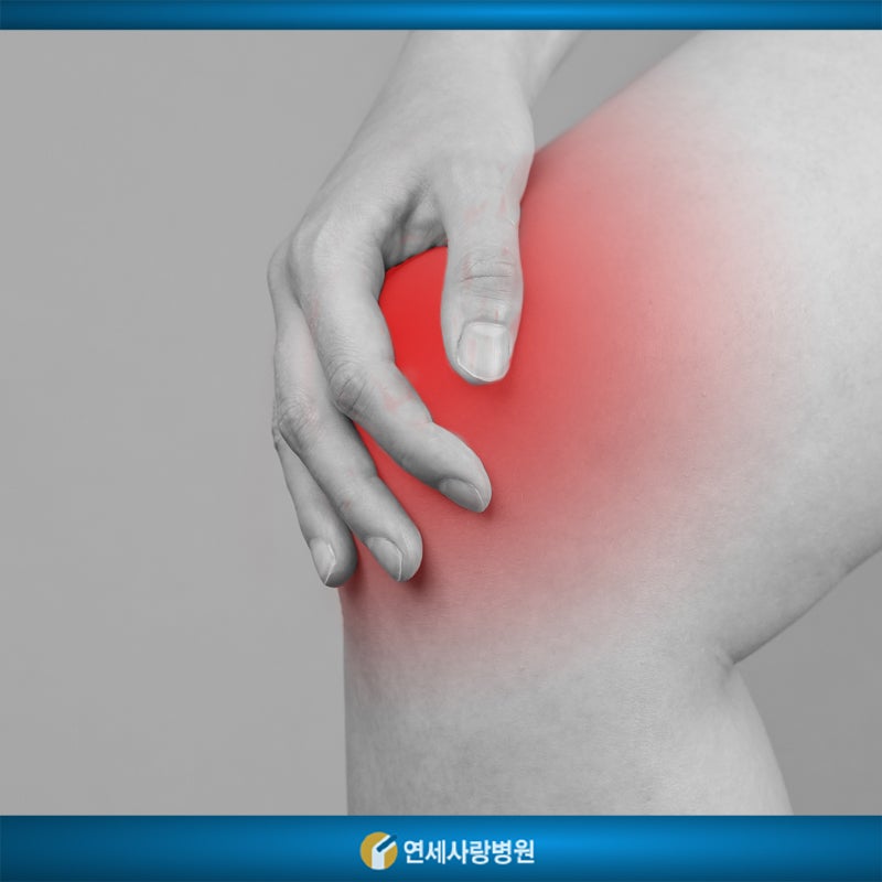 무릎 연골 찢어짐, 반월상연골파열 치료는 이렇게 합니다 : 네이버 블로그