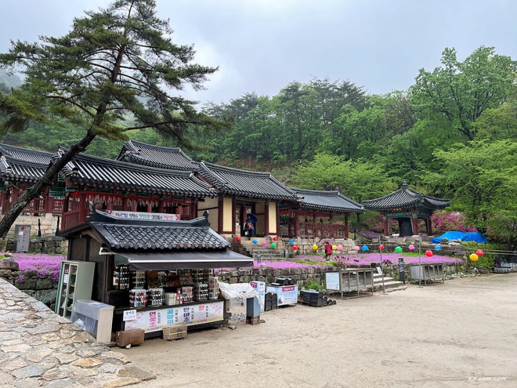 춘천 소양강댐 청평사 가는길, 당일치기 여행 춘천 소양강댐 청평사 가는길, 당일치기 여행
