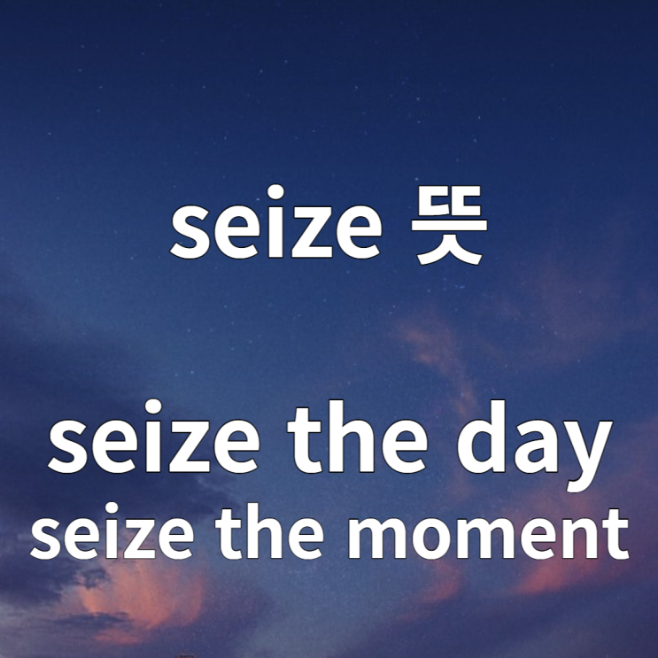  seize, seize the day, seize the moment 의미
