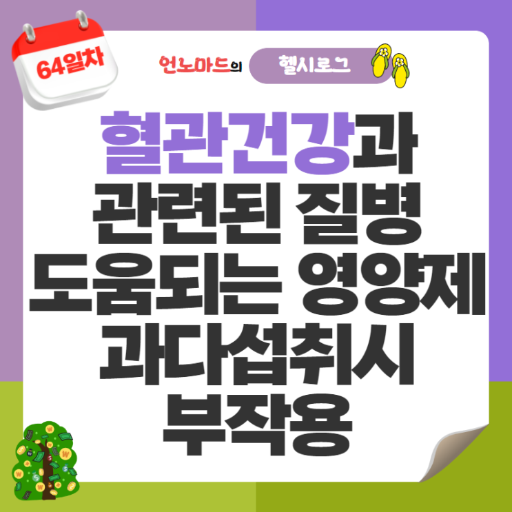  64일차, 혈관건강과 관련된 질병 및 도움되는 영양제&과다섭취시 부작용