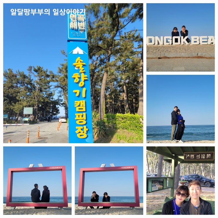 연곡해변 솔향기캠핑장 그냥 구경만 했어요. 여름에 한번 오고 싶네요(ft.국민여가캠핑장) 연곡해변 솔향기캠핑장 그냥 구경만 했어요. 여름에 한번 오고 싶네요(ft.국민여가캠핑장)
