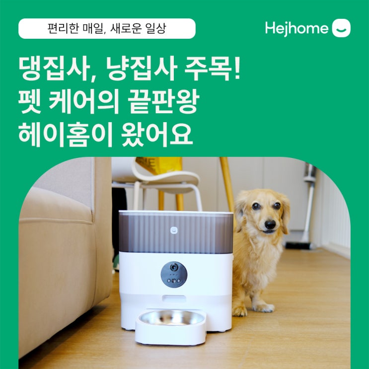  헤이홈 강아지, 고양이 자동 급식기와 정수기로 분리불안을 해결해봐요!