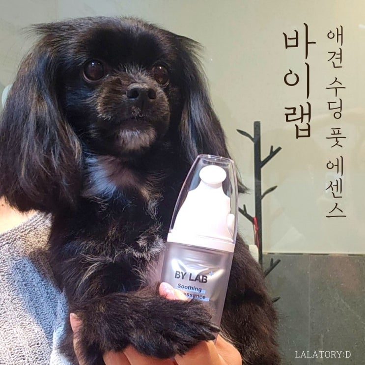  바이랩 건조한 강아지발바닥 수딩 풋 에센스