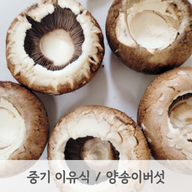  [중기이유식] 양송이버섯 큐브 만드는 방법 (양송이버섯 토핑, 토핑이유식, 베이비무브)
