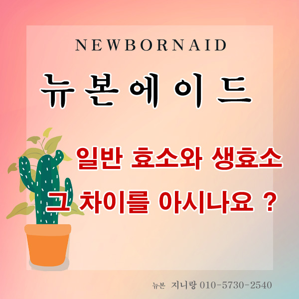  뉴본에이드는 생효소 / 발효효소와 생효소의 차이점