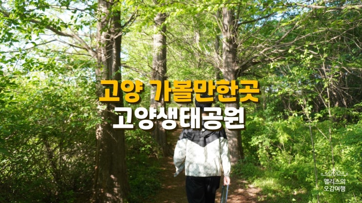 고양 가볼만한곳 고양생태공원 산책하기 좋은 곳 고양 가볼만한곳 고양생태공원 산책하기 좋은 곳