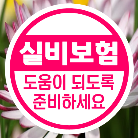  노인실비보험 추천 실제 도움이 되도록 노후실손보험 가입 준비해두세요.