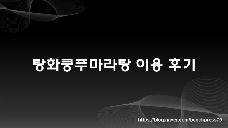  세종시 탕화쿵푸마라탕 이용 후기