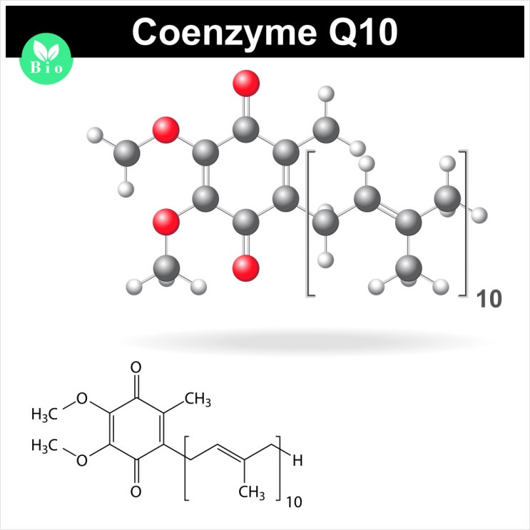 코앤자임큐텐 효능과 고혈압 낮추는 방법