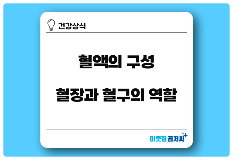  혈액의 구성 혈장 혈구 알아보기