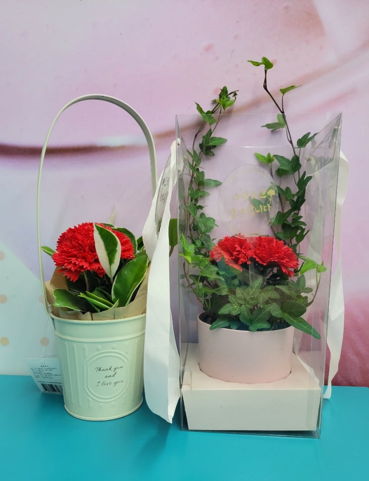 농협, 롯데카드로 더 저렴한 편의점카네이션 - 23년 GS25 카네이션 - 편의점신제품 내돈내산 솔직리뷰 농협, 롯데카드로 더 저렴한 편의점카네이션 - 23년 GS25 카네이션 - 편의점신제품 내돈내산 솔직리뷰