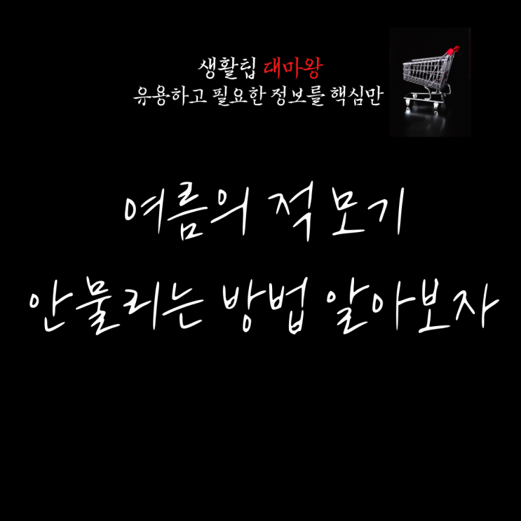 여름철 모기 물림 방지! 효과적인 퇴치 방법