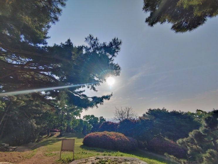 오늘아침 햇살과 어우러진 설봉산의 모습들 오늘아침 햇살과 어우러진 설봉산의 모습들