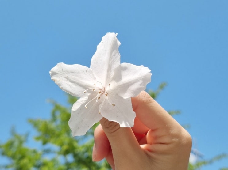 기대